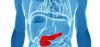 Photo for Gaucher Disease Treatment Market - Global Industry Insights, Trends, Outlook, and Opportunity Analysis, 2018-2026
