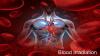 Photo for Blood Irradiation Market - Size, Share, Growth, and Outlook, Forecast By 2018 – 2026