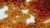 Photo for Global Chelate Resins Market Insight 2019 - Technology and Forecast Research Till 2025