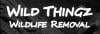 Photo for Wild Thingz Wildlife Removal