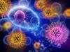 Photo for Global Cytokines Market Research Analysis and Sustainable Growth During 2019 - 2025