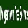 Photo for Morgantown Tree Service