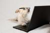 Photo for Site-Genius.com