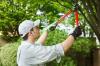 Photo for All Pro Huntsville Tree Service