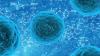 Photo for Biomarkers Market Around Globe: Growth, Development, Trends, Demand, Share, Analysis and Forecast 2026