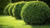 Photo for Stonecraft & Landscaping Services LLC