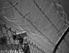 Photo for Global Perimeter Security Market Size | Industry Report, 2019-2025