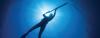 Photo for Spear Fish Long Island