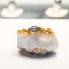 Photo for Bellini Jewelers