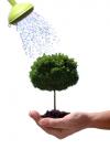Photo for Smiles Tree Care Inc
