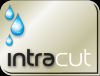 Photo for Intracut