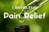 Photo for Have You Considered Using CBD Products for Pain?