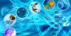 Photo for Hematopoietic Stem Cell Transplantation (HSCT)  Market Segmentation and Analysis by Recent Trends, Development and Growth by Regions to 2018-2026