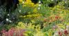 Photo for The Flower Shed