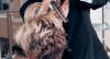Photo for Boudoir Beauty Hennessey's Road