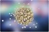 Photo for Respiratory Syncytial Virus Diagnostics Market to Witness Heightened Growth By 2026