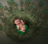 Photo for A Little One Studio