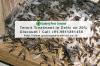 Photo for Pest Control Delhi |Termite Exterminator | +91-9811381458