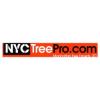 Photo for Manhattan Tree Experts LTD.