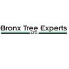 Photo for Bronx Tree Experts LTD