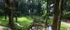 Photo for wayanad homestay