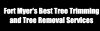 Photo for Fort Myers Best Tree Trimming and Tree Removal Services