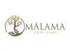 Photo for Malama Tree Care