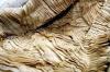 Photo for Eco Fiber Market- Industry Insights, Outlook, and Opportunity Analysis, 2018-2026