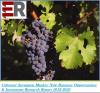 Photo for Cabernet Sauvignon Market: New Business Opportunities & Investment Research Report 2018-2025