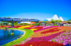 Photo for Great Cities in Florida You Can Invest In