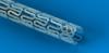 Photo for Bioresorbable Vascular Scaffold Market Positive Long-Term Growth Outlook 2018-2026