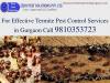 Photo for Pest control in Gurgaon | +91-9810353723