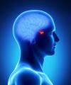 Photo for Acromegaly Treatment Market Trends, Outlook, and Opportunity Analysis, 2018 - 2026
