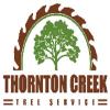 Photo for Thornton Creek Tree Service