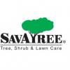 Photo for SavATree - Tree Service & Lawn Care