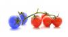 Photo for Rising Focus On Innovation In Gene Therapy, Followed By Growing Application Of Genomics To Drive The Genetic Engineering Market Globally : Ken Research