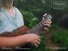 Photo for Best Ukulele School for Adults