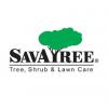 Photo for SavATree - Tree Service & Lawn Care