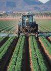 Photo for General Crop Farming Market | Characteristics, Forecast Size, Trends