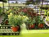 Photo for One Stop Flowers and Produce