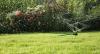 Photo for Southern Oregon Yardcare