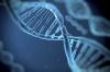 Photo for Hemophilia Gene Therapy Market : Get Facts About Business Strategies 2018–2026