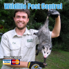 Photo for Wildlife Pest Control Jacksonville