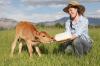Photo for Animal Nutrition Market To See Incredible Growth By 2026