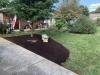 Photo for Diego's Landscaping & Tree Removal LLC