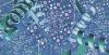 Photo for Proteomics Market Insights, Share, Growth Drivers and Forecast by 2024