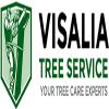 Photo for Visalia Tree Service Pros