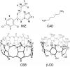 Photo for 1-octodecyl-3-methylimidazolium tetrafluoroborate