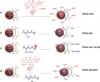 Photo for applications of upconversion nanoparticles
