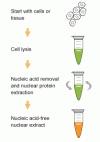 Photo for titania nanoparticles